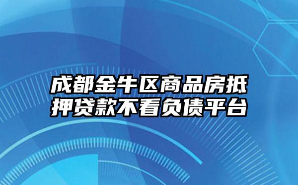 成都金牛区商品房抵押贷款不看负债平台